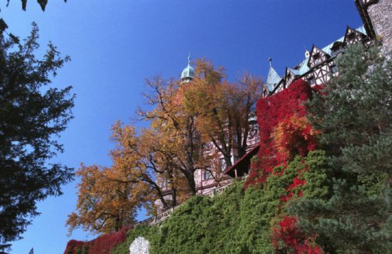 Obraz