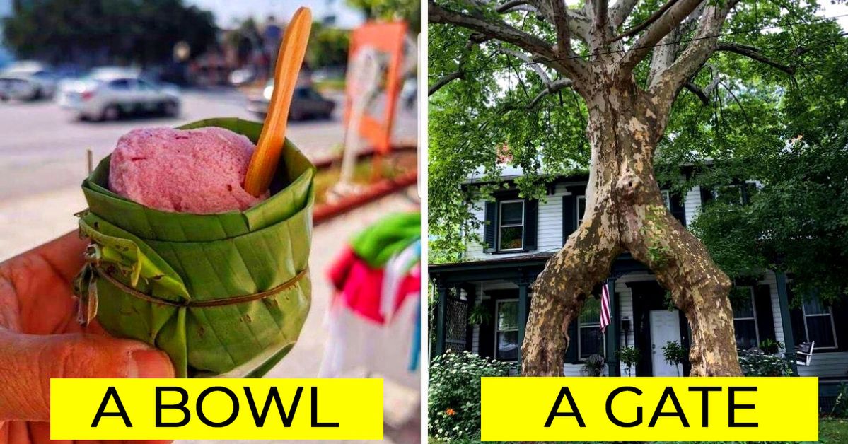 19 Examples Proving That Man and Nature Can Get on Very Well
