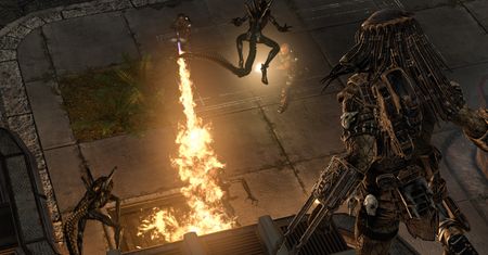 Rebellion: AvP sukcesem, chcemy sequela