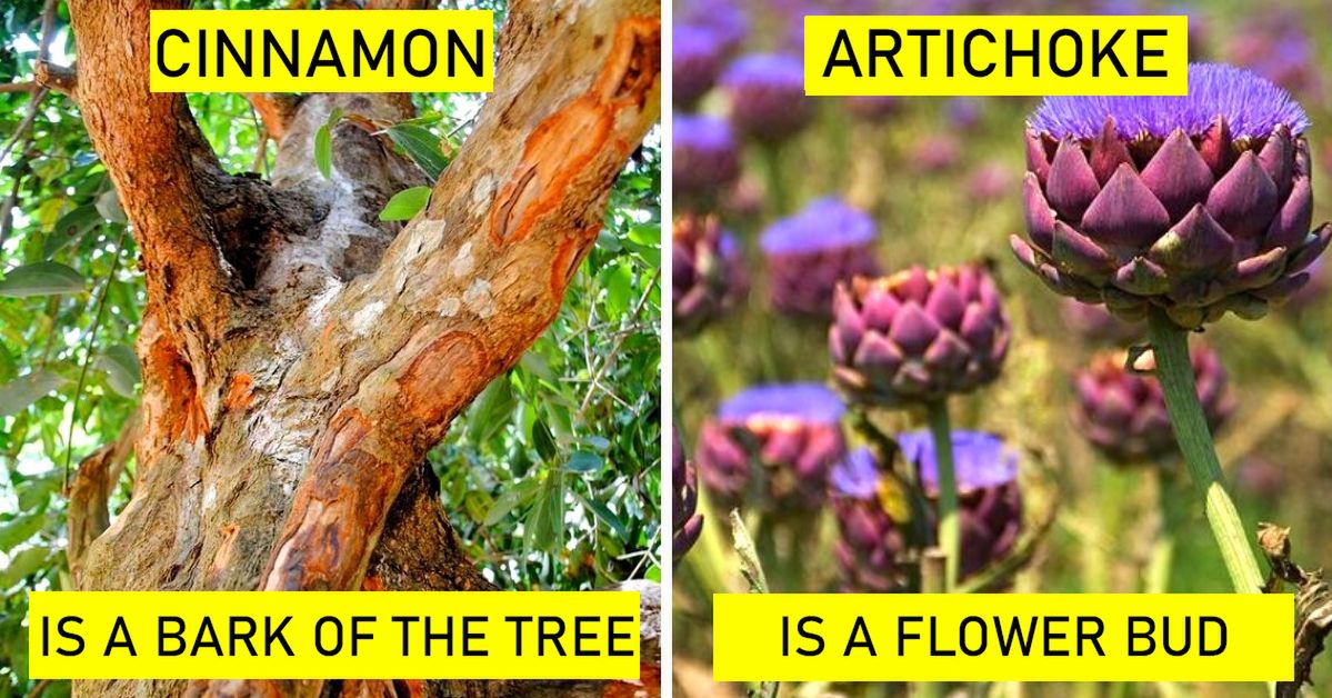 22 Kinds of Food That Grows in a Quite Peculiar Way…