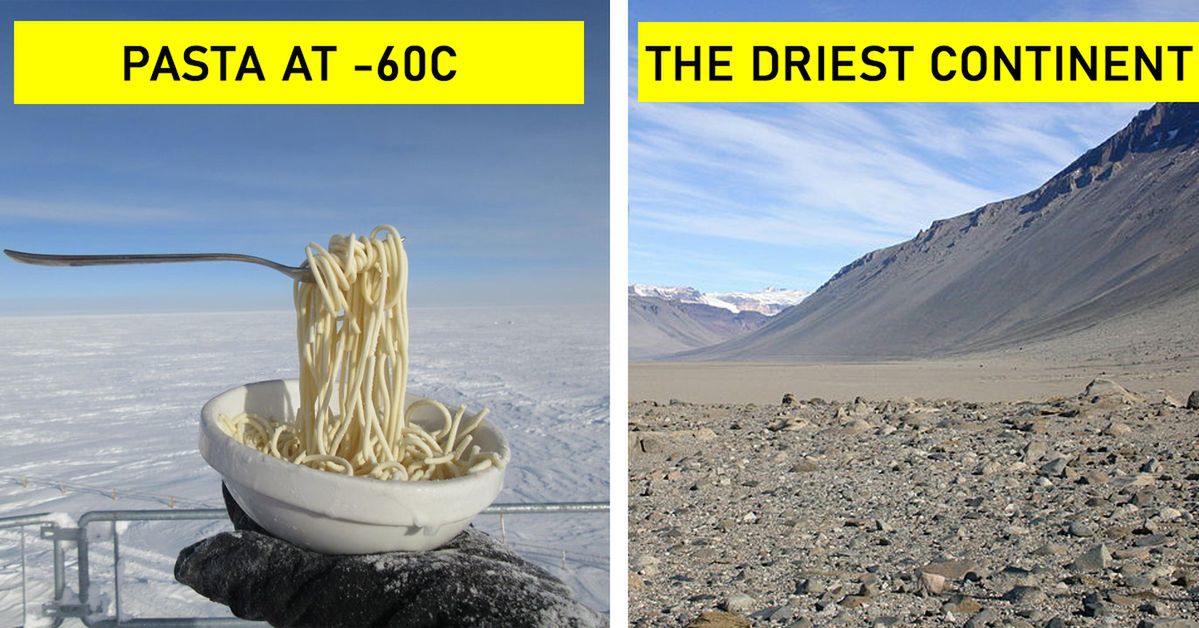 15 Totally Surprising Facts About the Antarctica – The Coldest, the Driest and the Windiest Continent on Our Planet