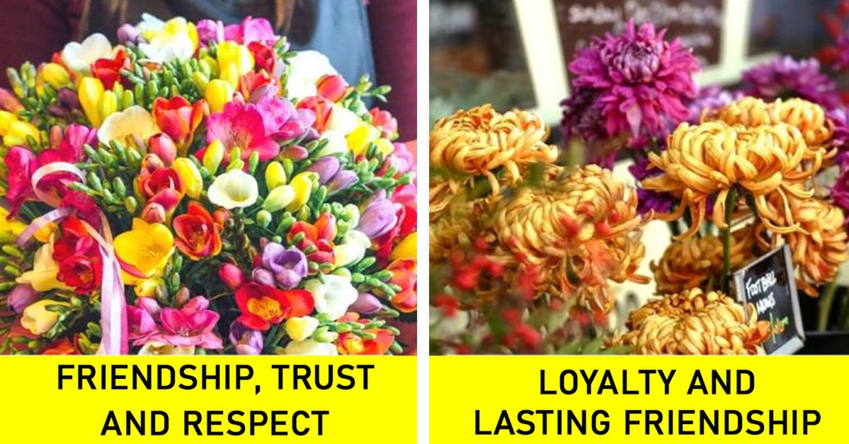 11 Flowers Commonly Used in Bouquets and Their Symbolic Meaning