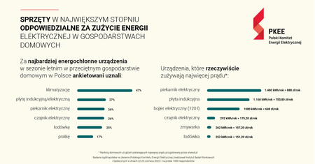 Polakom tylko się wydaje, że wiedzą, które urządzenia w ich domu zużywają najwięcej prądu