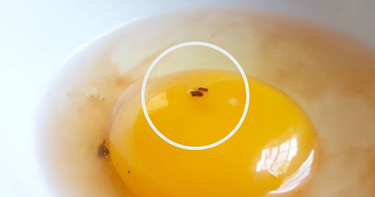 Ciemna plamka w jajku obrzydza wiele osób. Czy można zjeść je bez obaw?