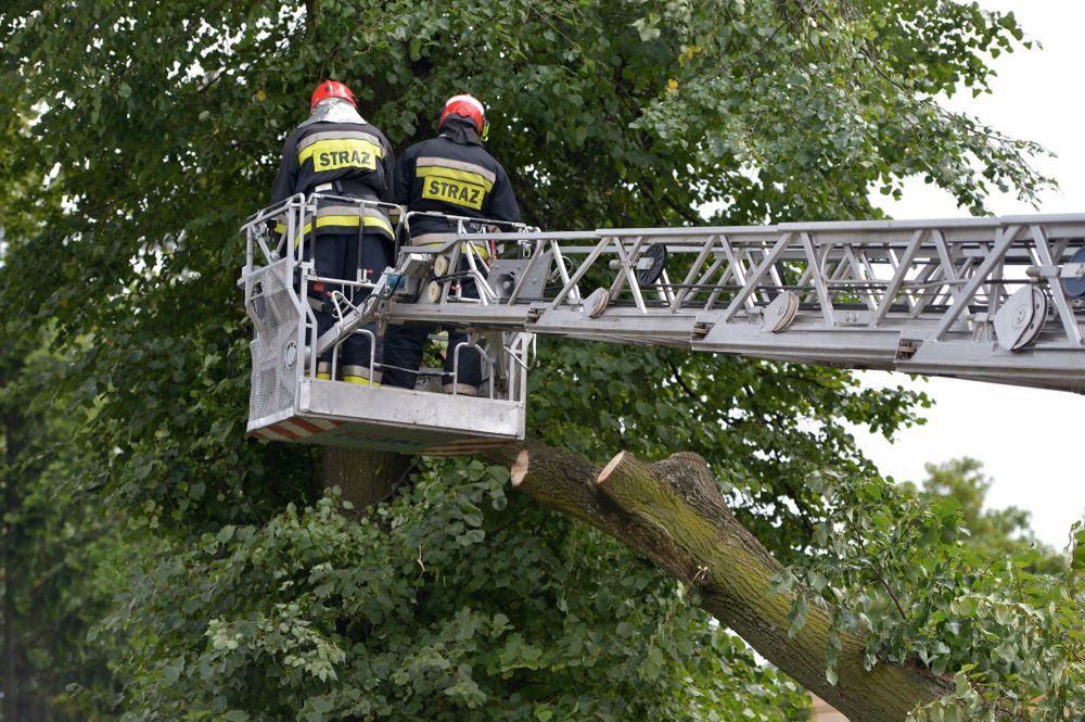 760 akcji związku z usuwaniem skutków burz; 38 tys. odbiorców bez prądu.