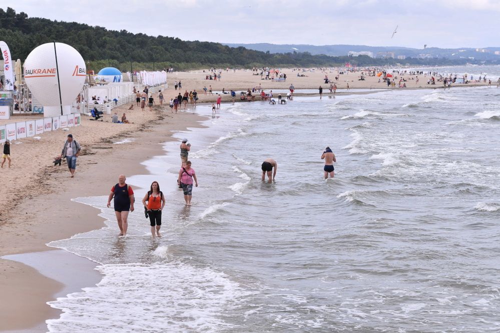 Sinice zagrażają kąpieliskom w Trójmieście. Gdzie nie wolno się kąpać?