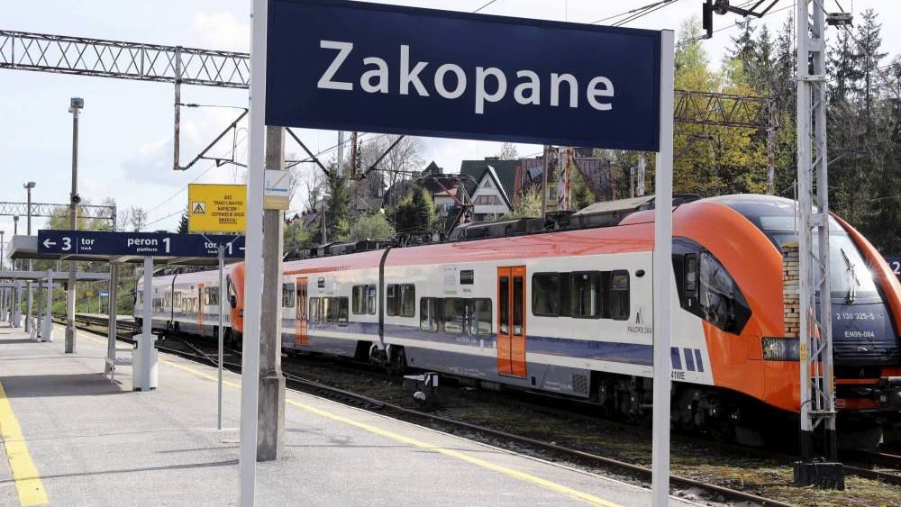 zdjęcie