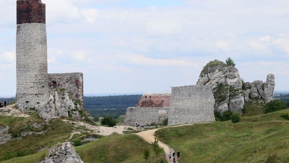 zdjęcie