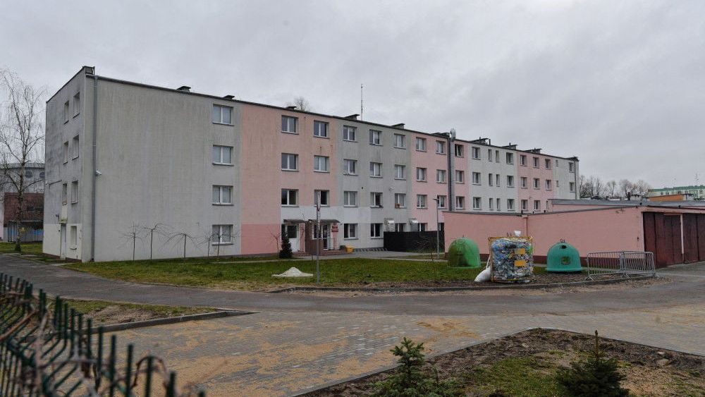 zdjęcie
