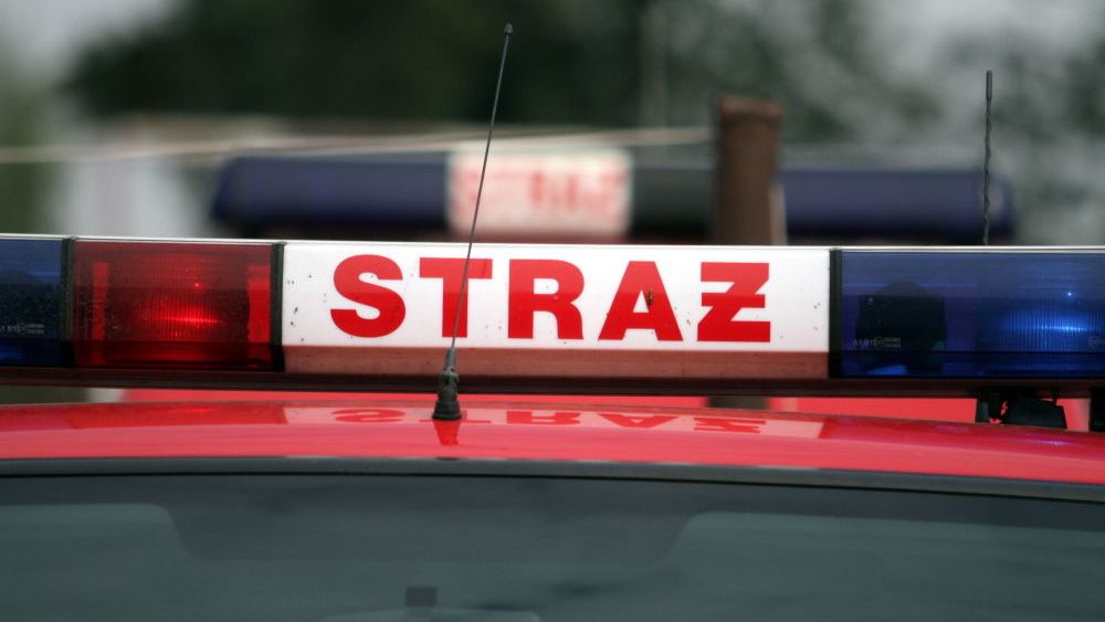 zdjęcie
