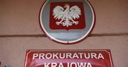 Katowicka prokuratura skierowała do sądów dwa wnioski ws. 4-letniej Ines