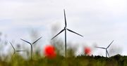 PGE uruchomiła nowe farmy wiatrowe o łącznej mocy prawie 100 MW