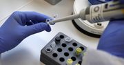 Biotechnolodzy z UG zbadają wpływ infekcji towarzyszących na przebieg COVID-19