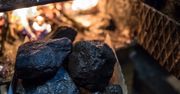 Odejście od węgla w sektorze komunalno-bytowym możliwe do 2040 r.