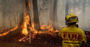 Ocieplenie klimatu sprzyja pożarom lasów