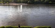 Dzika natura niezbędna do przeżycia w mieście