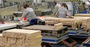 IKEA w Wielbarku zwalnia 10 proc. pracowników