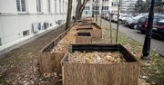 Powstało osiedle domków dla jeży na terenie AGH w Krakowie