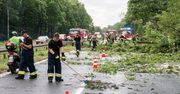 PSP: 901 interwencji związanych z usuwaniem skutków burz