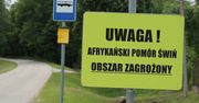 Kolejne przypadki ASF w Polsce