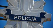 Rzeszowska policja rozbiła grupę handlującą w internecie środkami poronnymi