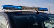 Funkcjonariusze SOK zatrzymali dwóch mężczyzn za dewastację i zakłócanie porządku
