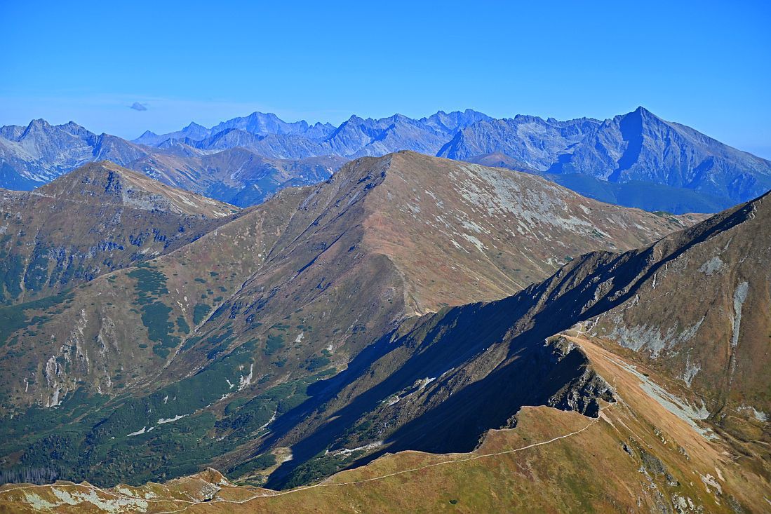 Jesienne Tatry na Starorobociańskim Wierchu – złote liście i niesamowite widoki