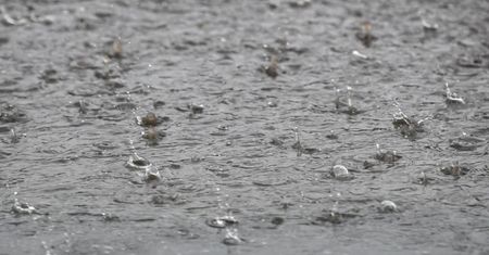 Ostrzeżenia pierwszego i drugiego stopnia przed deszczami i burzami