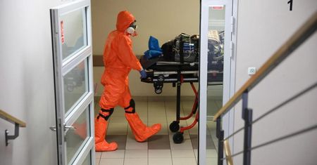 Wirus podobny do SARS-CoV-2 potencjalnie może zakażać ludzi