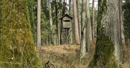 64-latek śmiertelnie postrzelony w głowę podczas polowania