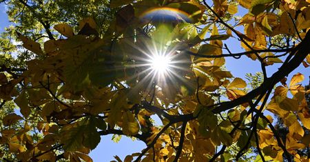 Meteorolog IMGW: bomba ciepła nad Polską