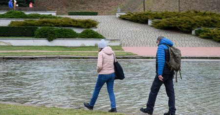 Zbiorniki wodne na poznańskiej Cytadeli szykowane do wiosennej migracji płazów