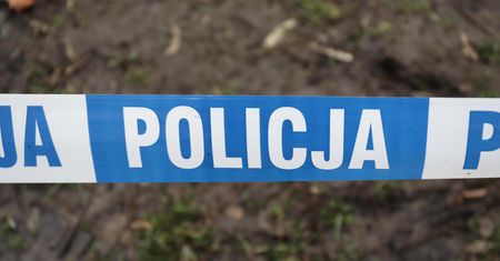 Zwłoki noworodków zakopane w piwnicy