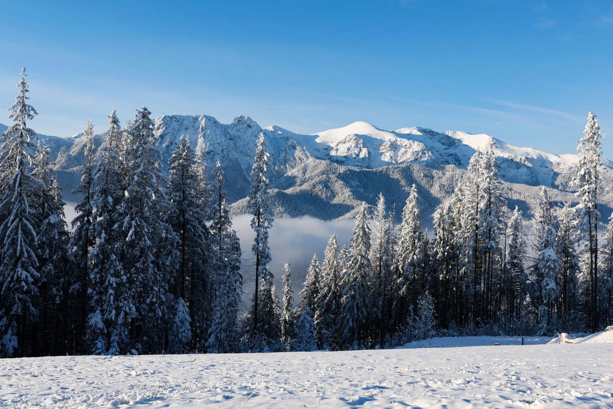 W Tatrach spadł pierwszy jesienny śnieg