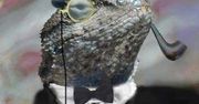 Grinch na dywaniku - Lizard Squad tłumaczy ataki na Sony i Microsoft