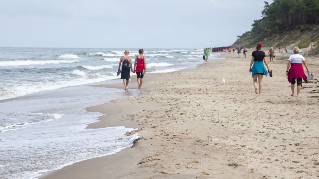 Dzień Ryby w Helu obfitował w niespodzianki- Pyszności, źródło: Adobe Stock