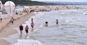 Sinice zagrażają kąpieliskom w Trójmieście. Gdzie nie wolno się kąpać?