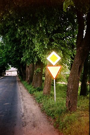Obraz