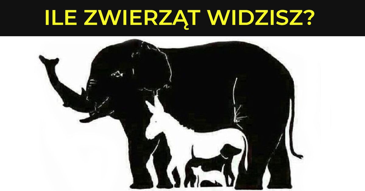 Na tym obrazku ukrywa się więcej zwierząt niż myślisz. Wiesz ile ich jest?