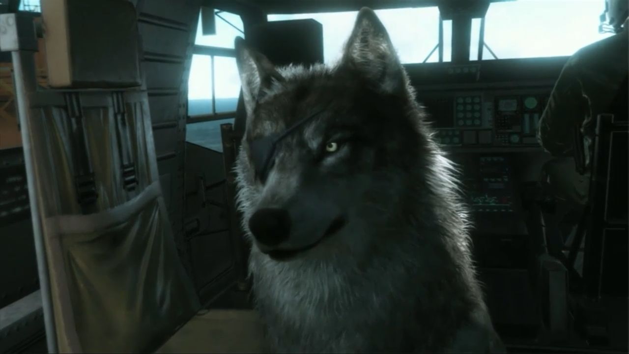 Kupując Metal Gear Solid V: The Phantom możemy wesprzeć schronisko dla psów