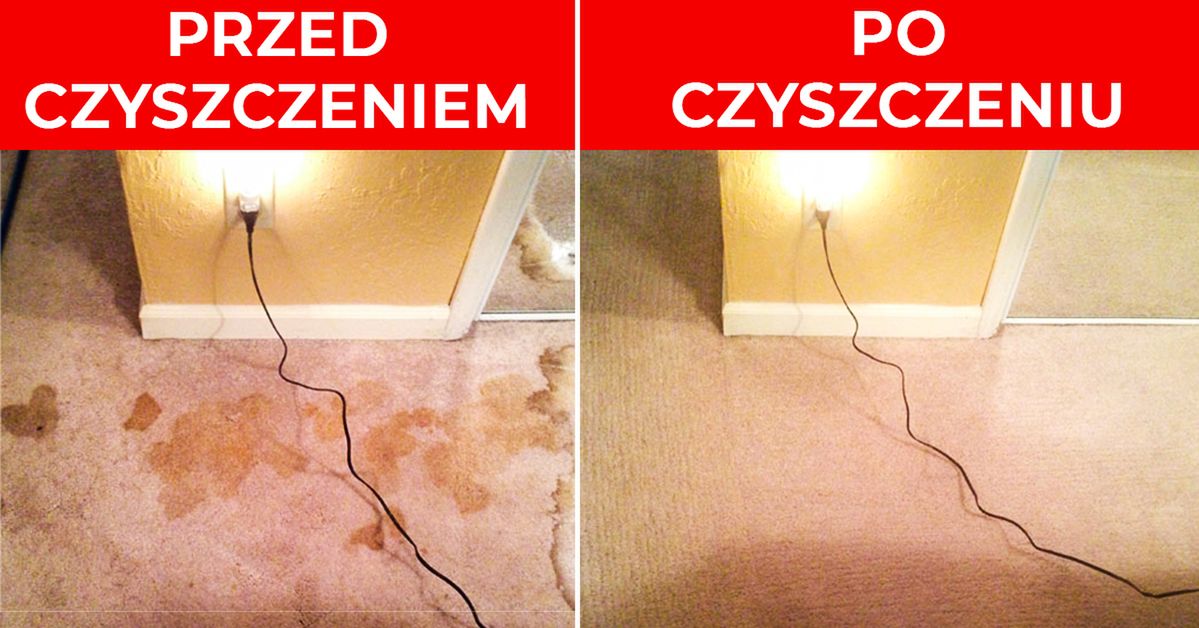 Jak pozbyć się psiego moczu z dywanu - Naturalne sposoby