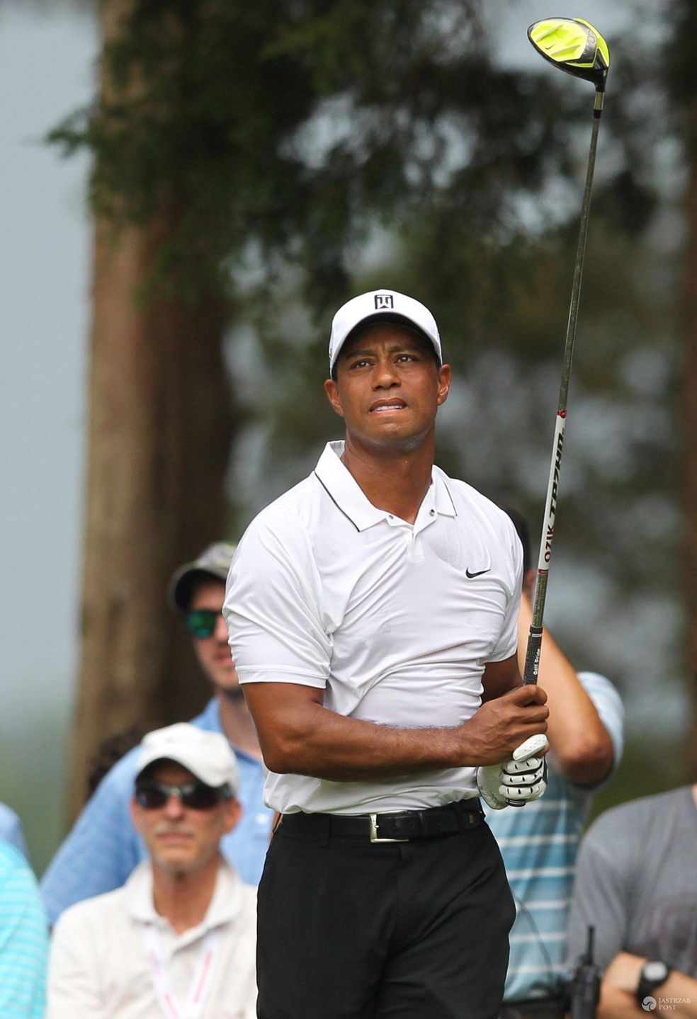 Tiger Woods twierdzi, że nie pił alkoholu za kółkiem