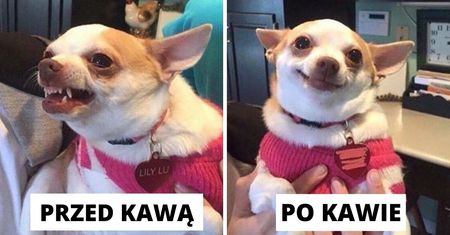 16 rzeczy, które zrozumie jedynie prawdziwy fan kawy