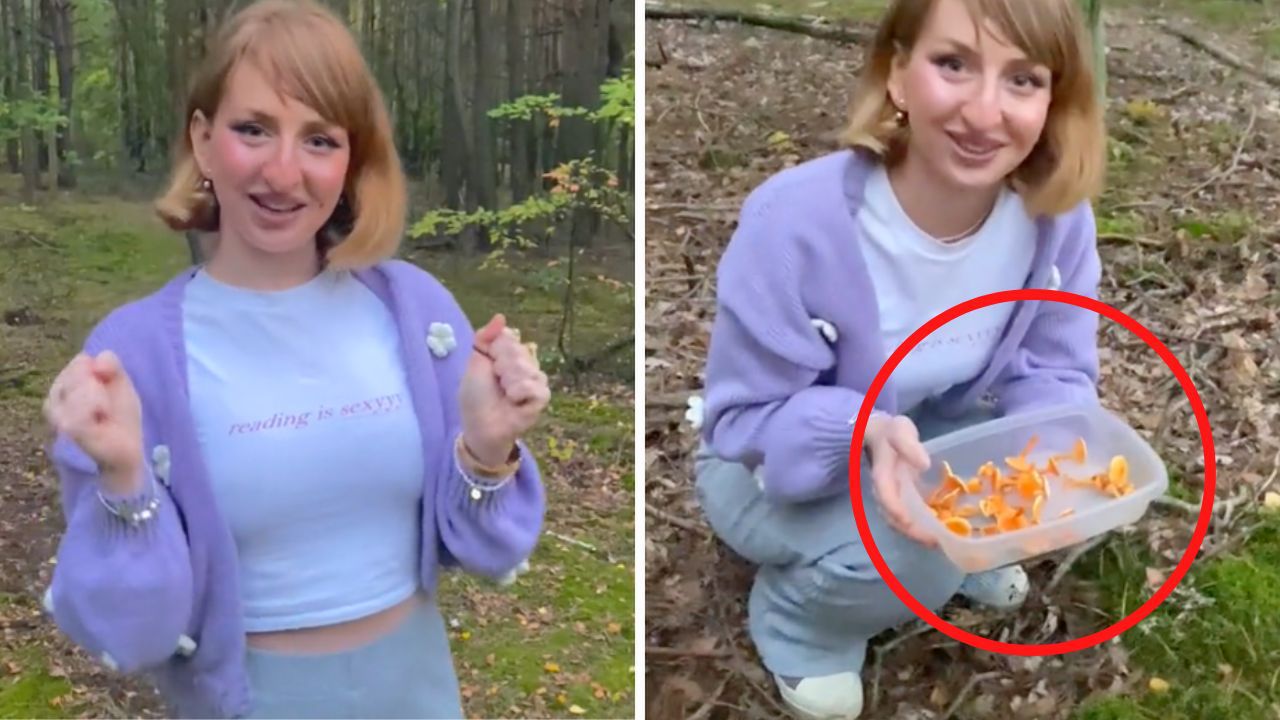 Influencerka nagrała wideo, na którym je trujące grzyby. Głupi trend mógł skończyć się tragedią