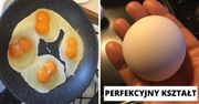 14 najdziwniejszych jajek, jakie widzieliśmy. Nawet one płatają figle