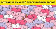 10 ilustracji Gergely Dudás'a na których ukryto drobne przedmioty