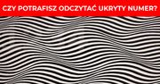 8 obrazów z ukrytymi liczbami. Tylko najbardziej spostrzegawcze osoby potrafią je odnaleźć