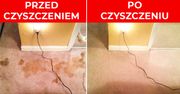 Jak pozbyć się psiego moczu z dywanu - Naturalne sposoby