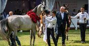 Prawie  1,6 mln euro za konie na aukcji Pride of Poland.