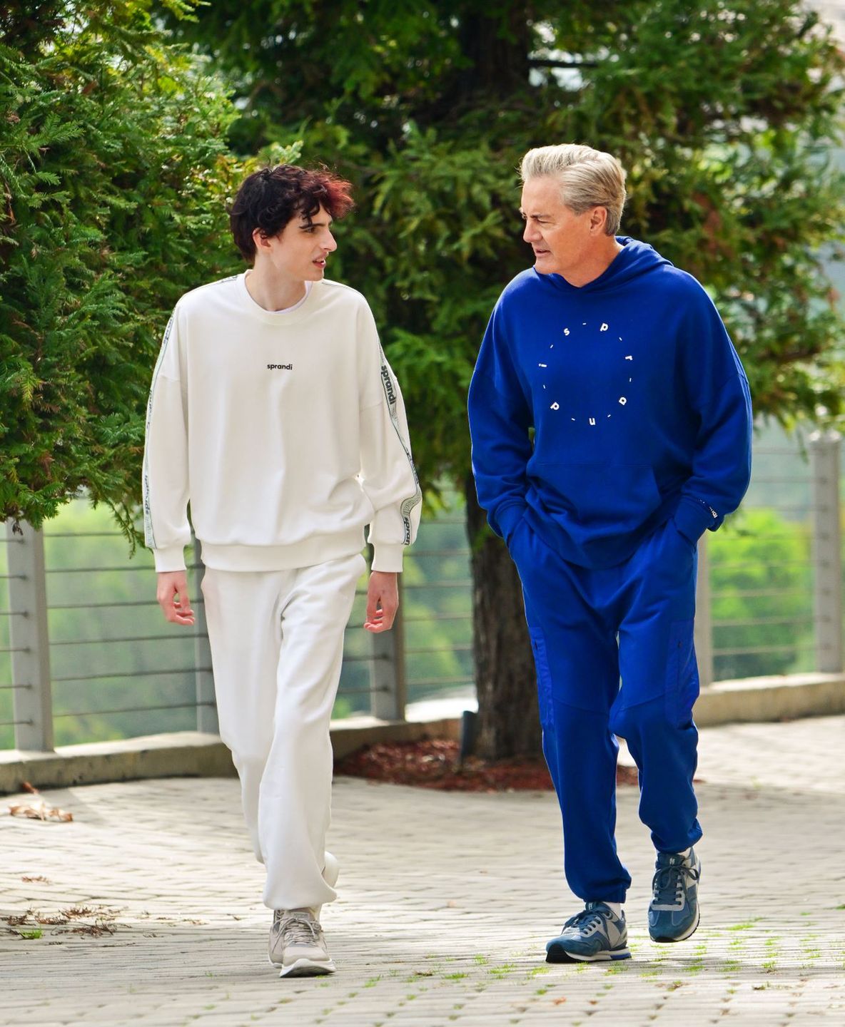 Obrazek
